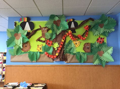 Jungle Animal Bulletin Board, Amazon Rainforest Bulletin Board, Rainforest Bulletin Board Preschool, Reptile Bulletin Board Ideas, Wild Animal Bulletin Board Ideas, Animal Themed Bulletin Boards, Rainforest Bulletin Board Ideas, Jungle Bulletin Board Ideas, Jungle Theme Bulletin Boards