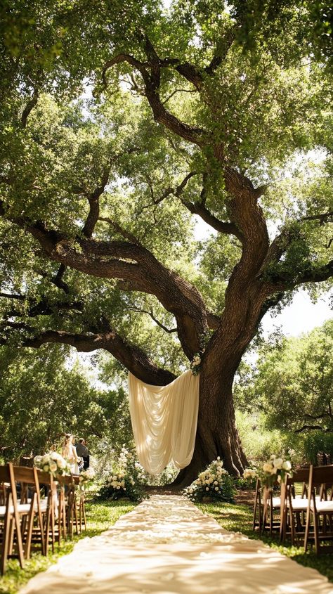 Looking for enchanting outdoor wedding ceremony ideas? Picture your special day under majestic oak trees, with flowing fabrics and lush greenery. Capture every moment with the perfect videographer! #OutdoorWeddings #WeddingIdeas #Midjourney #LoveStory Live Oak Wedding Ceremony, Outdoor Pond Wedding Ceremony, Outdoor Forest Wedding Ceremony, Earthy Wedding Ceremony, Wedding Ceremony Under Tree, Weeping Willow Wedding, Pond Wedding Ceremony, Wedding Under Tree, Wedding Under Trees