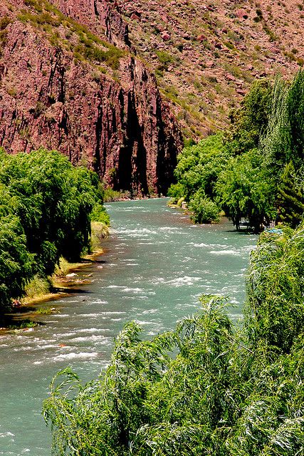 San Rafael Mendoza, Travel South, South America Travel, San Rafael, Mendoza, Beautiful Landscapes, Wonders Of The World, South America, Decoupage