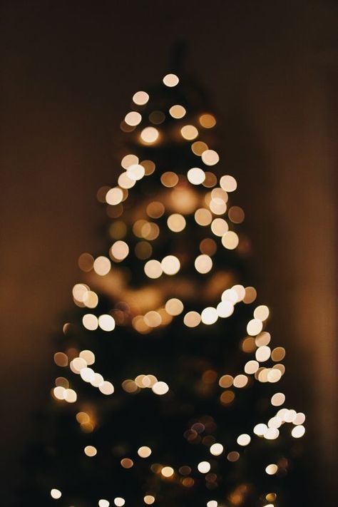 Christmas Instagram Pictures, Christmas Lights Wallpaper, L Wallpaper, Picture Tree, Oh Christmas Tree, Xmas Wallpaper, Large Christmas Baubles, Brown Christmas, Christmas Phone Wallpaper