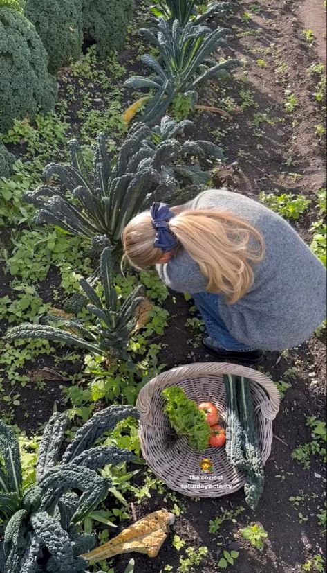 Gardening Hobby Aesthetic, Garden Asthetic Picture, Gardening Girl Aesthetic, Horticulture Student Aesthetic, Community Garden Aesthetic, Gardening Aesthetic Girl, Food Garden Aesthetic, Garden Astethic, Vegetable Garden Aesthetic