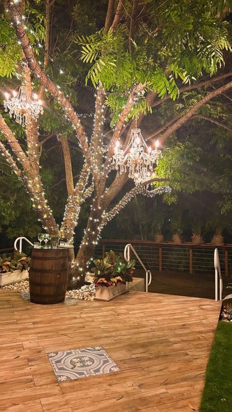 Chandelier From Tree, Outdoor Tree Chandelier, Lighted Trees Outdoor, Garden Tree Lights, Chandelier In Tree Wedding, Chandeliers In Trees, Lights In Trees Wedding, Backyard Chandelier, Outside Chandelier Ideas