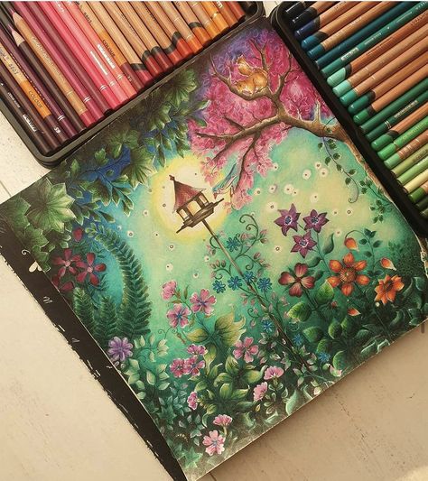 Secret Garden Coloring Book Finished, Coloring Station, Forest Coloring, Colored Pencil Art Projects, Joanna Basford Coloring, Enchanted Forest Coloring Book, Johanna Basford Enchanted Forest, Johanna Basford Secret Garden, Secret Garden Coloring Book