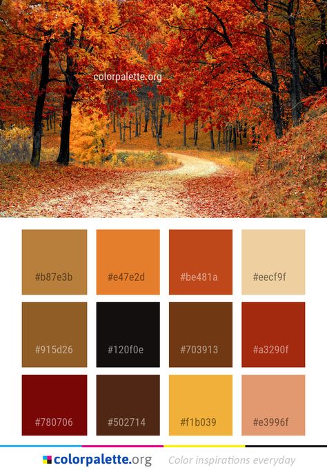 Leaf Color Palette, Autumn Leaf Color, Colors Inspiration, Nature Autumn, Color Schemes Colour Palettes, Fall Family Pictures, Hex Color Codes, Artist Palette, Family Picture Outfits