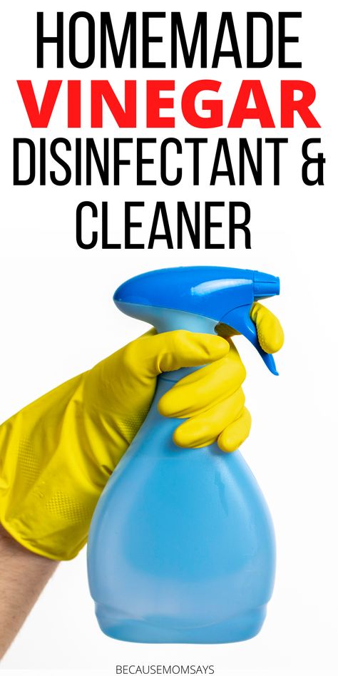 These brilliant cleaning hacks for vinegar are an amazing way to clean naturally! Make the easy vinegar cleaner using this recipe and clean bathrooms, kitchens, and so much more naturally! #vinegarcleaner #homemadecleaner #naturalcleaning #greenproducts Vinegar Cleaner Recipe, Vinegar Hacks, Vinegar Cleaning Solution, Uses For Vinegar, How To Make Vinegar, Homemade Cleaner, Homemade Cleaners Recipes, Vinegar Cleaner, Homemade Cleaning Supplies