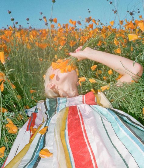 Shot by @jimmymarble May 2018 Yellow Photography, Let's Make Art, Moonrise Kingdom, Flower Photoshoot, Outdoor Photoshoot, Artist Style, Flower Field, Photography Inspo, Color Photography