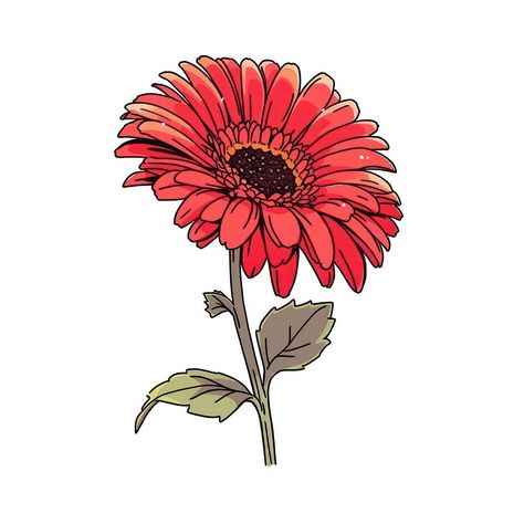 Red Gerbera flower petal plant white background. | free image by rawpixel.com / Nutthone Gerbera Embroidery, Gerberas Drawing, Gerber Daisy Drawing, Gerbera Flower Drawing, Plant White Background, Gerbera Daisy Watercolor, Gerbera Daisy Illustration, White Flower Png, Red Gerbera