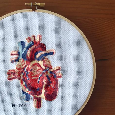 Anatomical Heart Cross Stitch, Valentines 2023, Heart Cross Stitch, Boy Sewing, Craft Knitting, Cross Stitch Heart, Anatomical Heart, Machine Sewing, Stitch Art