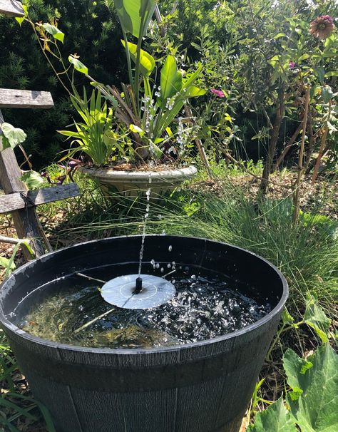 Amazon.com: Solar Fountain, 1.4W Solar Powered Circle Garden Water Pump with 6 Nozzle, Anti-collision Bar, Floating Fountain Pump Kit for Bird Bath, Pond Garden Decor, Aquarium, Fish Tank : Patio, Lawn & Garden Bath Pond, Garden Water Pump, Floating Fountain, Circle Garden, Pond Garden, Solar Fountain, Fountain Pump, Garden Water, Aquarium Fish Tank