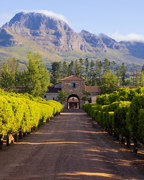 Lots of love from Stellenbosch 🍇 We’ve kicked off our road trip in South Africa! Over the next 3 weeks, we’ll explore the western part of this country, starting here in Stellenbosch! Stellenbosch is all about wine: endless vineyards, stunning estates such as this one @waterford_estate and ofcourse exquisite wines 🍷 Join us on our journey through South Africa and follow along in our stories! 🦒 • • • #southafrica #zuidafrika #stellenbosch #stellenboschwineroute #waterfordestate Stellenbosch Wineries, South Africa Winelands, South Africa Wine, Stellenbosch South Africa, Parallel Universe, Lots Of Love, Our Journey, Cape Town, 3 Weeks