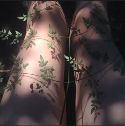 Wlw lover of sad poetry, music and forests (she/they) Minor! Photos are from pinterest unless specified. Mia 3, Poison Ivy, Gotham City, Nature Aesthetic, Greek Mythology, Pretty Pictures, Aesthetic Pictures, We Heart It, A Woman