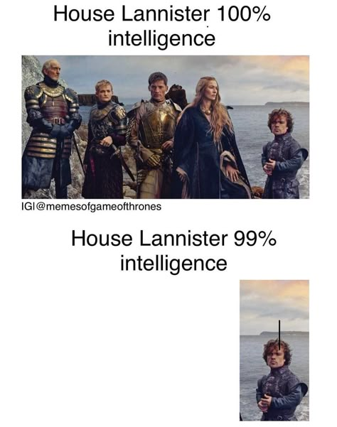 Game Of Thrones Meme, House Lannister, Game Of Thrones 3, Game Of Thrones Books, I Love Games, Fire Book, Game Of Thrones Funny, Hbo Game Of Thrones, Got Memes