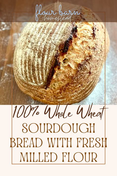 100% Whole Wheat Sourdough Bread with Fresh Milled Flour. Whole wheat Bread Recipe. Whole wheat sourdough bread. Whole wheat sourdough starter. Whole wheat flour recipes. Whole wheat sourdough sandwich bread. Whole wheat sourdough bread recipe. Whole wheat sourdough recipes. Sourdough with fresh milled flour. Fresh mulled sourdough bread. Fresh milled flour sourdough. Fresh milled sourdough bread starter. Sourdough starter with fresh milled flour. Rustic Sourdough Bread Recipe, Whole Wheat Sourdough, Sourdough Recipe, Whole Grain Flour, Sourdough Bread Recipe, Sourdough Baking, Whole Wheat Bread, Fool Proof Recipes, Delicious Bread