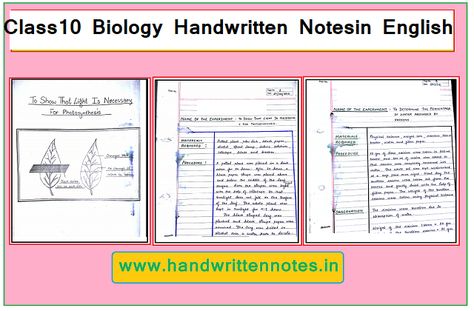 Class 11 Biology Notes, Notes In English, Class 11 Biology, Mineral Nutrition, Short Notes, Government Website, Cell Cycle, Dear Students, Study Flashcards