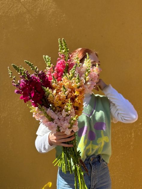 🧡 Sarah and Snap Dragons! There is truly no better combo! We love them both so bad! 🧡 www.eastendflowermarket.com.au Snap Dragons Bouquet, Dragonsnap Flowers, Dragonsnap Flower, Snap Dragon Floral Arrangement, Snapdragon Bouquet, Snap Dragons, Snap Dragon, Wildflower Wedding Bouquet, Tulip Bouquet