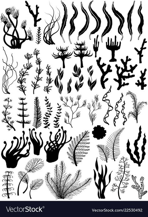 Ocean Life Silhouette, Coral Silhouette, Ocean Silhouette, Drawing Ocean, Coral Drawing, Marine Design, Ocean Plants, Ocean Projects, Marine Plants