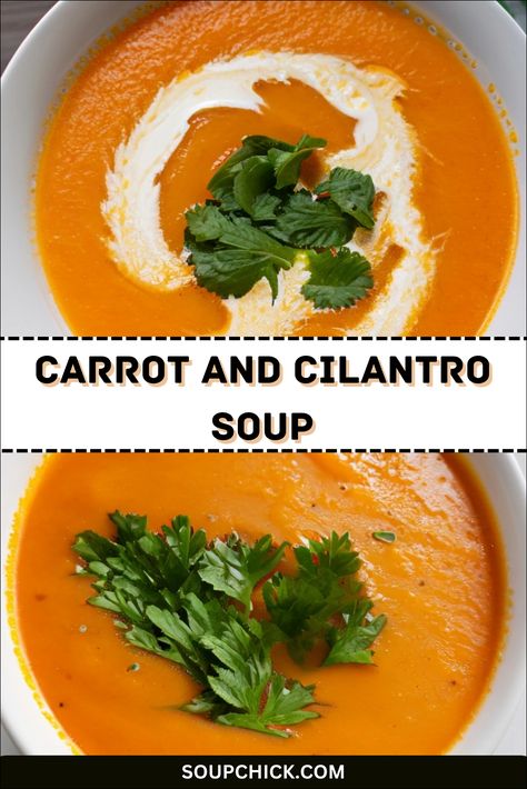 Nutritional Values for Carrot And Cilantro Soup With Full of Taste Cilantro Soup Recipe, Cilantro Soup, Soup Recipe Healthy, Sweet Carrots, Sweet Carrot, Dairy Free Alternatives, Food Experience, Brown Sauce, Easy Soup