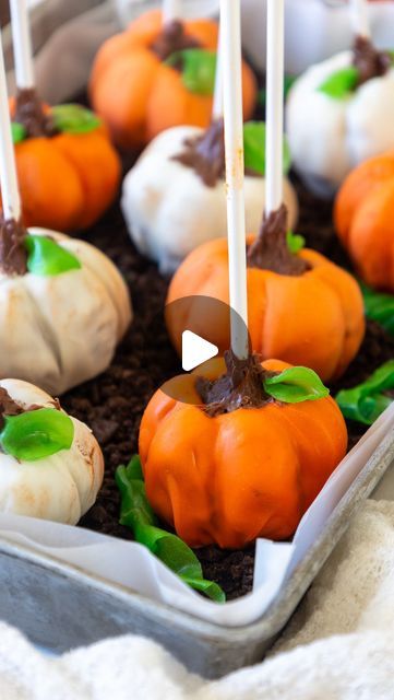 Chelsey White on Instagram: "Pumpkin Patch Cake Pops 🎃

Had so much fun making these & am still not over how cute they turned out 😍 The recipe is linked in my bio or you can google chelsweets pumpkin cake pops #pumpkin #cakepops" Halloween Cake Pops Pumpkin, Cake Pops Recipe Pumpkin, Cake Pops For Halloween, Pumpkin Cake Pops Recipe, Fall Cake Pops Ideas, Cake Pops Pumpkin, Pumpkin Cake Balls, Cake Pops Halloween, Halloween Cakepops