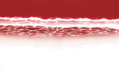 Red Anime Header Gif, Pink And Red Banner Gif, Red White Banner Discord, Red Dividers Discord Png, Red Header Tumblr, Red Discord Header, Red Discord Banners Gifs, Red Pixel Gif, Red And White Discord Banner