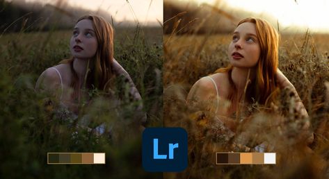 What Makes a Good Photo: A Beginners Guide to Editing in Lightroom | Daniel Nwabuko | Skillshare Editing In Lightroom, Photo Mobile, Moody Vintage, Lightroom Presets Bundle, Good Photo, Final Cut Pro, Lightroom Editing, Vintage Film, Color Grading