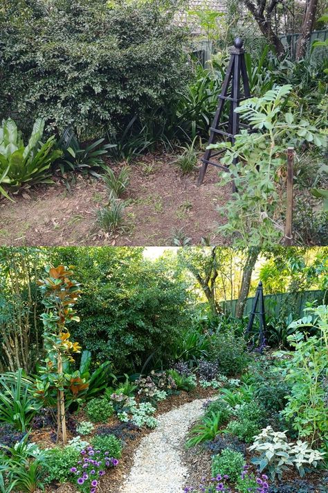 Before and after: Charlie updates a shady corner of his garden - a step-by-step guide | Better Homes and Gardens Shady Garden, Garden Corner, Garden Design Layout, Landscape Designer, Beautiful Outdoor Spaces, Chelsea Flower, Chelsea Flower Show, Homes And Gardens, Seasonal Flowers