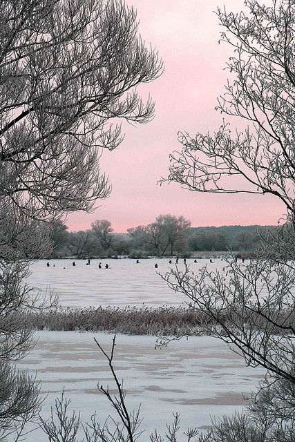 Winter fishing on the Volga Pink And Grey Wallpaper, Winter Fishing, Gray Aesthetic, Winter Wonder, Color Inspo, Grey Wallpaper, Blush Wedding, Happy Weekend, Dali