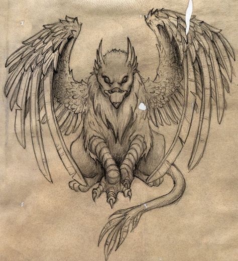 Gryphon Drawing, Griffon Tattoo, Gryphon Tattoo, Griffin Tattoo, Tattoo Posters, Owl Pet, Desenho Tattoo, Mythological Creatures, Mystical Creatures