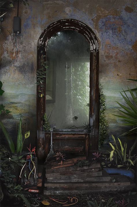 Artist Suzanne Moxhay Creates Incredible Photomontages Of Indoor Landscapes Using Age-Old Technique Conservatory Interiors, Twisted Vines, Romantic Landscape, Nature And Technology, Interior Murals, Old Mirror, Photo Montage, Organic Forms, Modern Photography