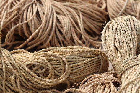 Making Cordage from Natural Materials Rope Making, Rope Weaving, Plant Names, Rope Diy, Basket Making, Survival Life Hacks, Mother Earth News, Bamboo Crafts, Larp Costume