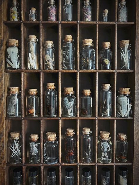 Witch Cabinet, Curio Cabinet Decor, Apothecary Decor, Cabinet Of Curiosity, Halloween Apothecary, Wet Specimen, Black Tissue Paper, Apothecary Cabinet, Witch Shop