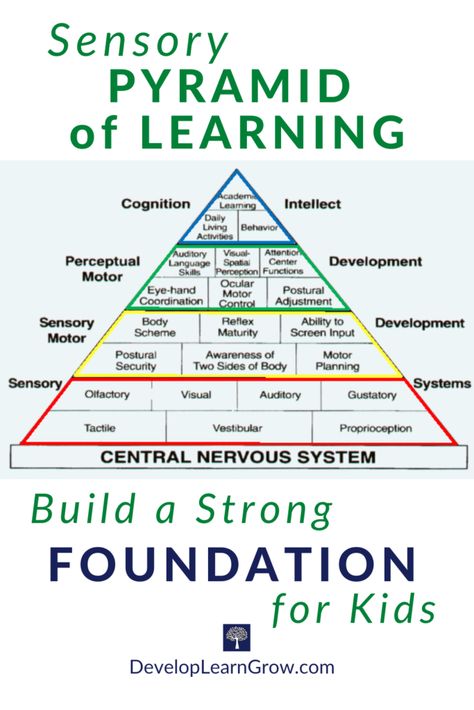 Learning Pyramid, Visual Motor Activities, Visual Perceptual Activities, Help Kids Focus, Core Strength Exercises, Sensory System, The Last Laugh, Body Awareness, Project Based Learning