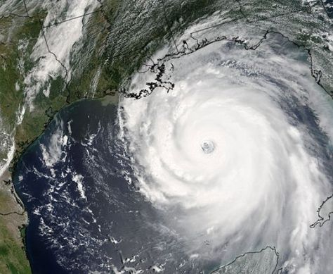 Hurricane Katrina, 2005. Image Credit:  NASA/Jeff Schmaltz, MODIS Land Rapid Response Team Wild Weather, Extreme Weather Events, Meteorology, Ice Age, Natural Phenomena, Earth Science, Extreme Weather, Tornado, Natural Disasters