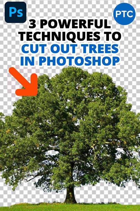 In this Photoshop tutorial, you will learn how to cut out trees in Photoshop using three powerful techniques! 💯 Photoshop Tree, Photoshop Tutorial Text, Photoshop Shortcut, Photoshop Retouching, Photoshop Training, Tree Photoshop, Photoshop Tutorial Graphics, Photoshop Techniques, Photoshop Video