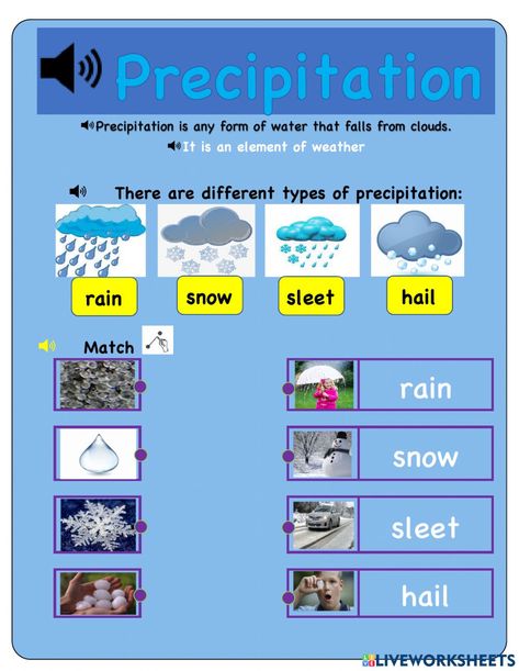 Weather Unit Study, Types Of Precipitation, Weather Unit, Workbook Template, Unit Study, Study Unit, The Unit