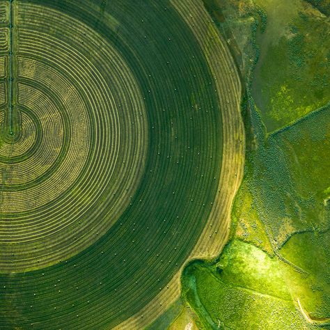 Stunning Aerial Photographs by Mitch Rouse Capture the Precise Patterns of Farmland Irrigation Methods, Aerial Images, Aerial Photograph, Colossal Art, First Photograph, Aerial Photo, Natural Forms, Aerial Photography, Aerial View