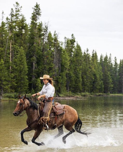 Horse Wrangler Aesthetic, Female Horse Rider, Horse Wrangler, Cowgirl Photography, Female Horse, Horse Water, Cowgirl Pictures, Western Photography, Horse Riding Clothes