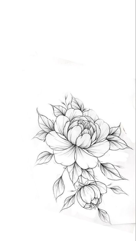 Peonie Tattoo Designs, Pioni Flowers Tattoo, Peony Flower Tattoos Drawings, Peony Drawing Tattoo, Peony Tattoo Stencil, Peony Tattoo Sleeve, Peony Tattoo Shoulder, Peony Flower Tattoo Design, Peony Stencil