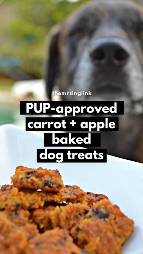 Carrot Dog Chews, Shelf Stable Dog Treats, Apple Dog Treats, Baked Dog Treats, Pup Treats, Doc Holiday, Carrot Dogs, Pet Treats Recipes, Doggy Treats