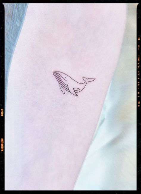 Hawaiian Whale Tattoo, Small Humpback Whale Tattoo, Whale Outline Tattoo, Tiny Whale Tattoo, Whale Tattoo Minimalist, Simple Whale Tattoo, Small Whale Tattoo, Orca Whale Tattoo, Rip Tattoo