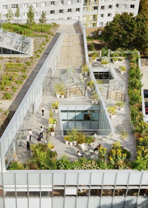 Rooftop Garden Urban, Retail Facade, Small Greenhouse, Roof Architecture, Building Roof, Student House, Natural Ventilation, Rooftop Garden, Garden Studio