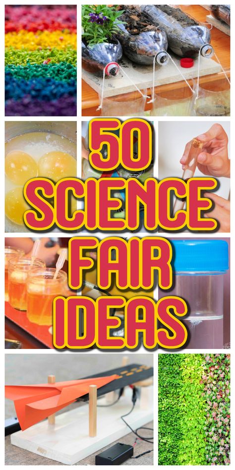 Great Science Fair Projects, Science Fair Project For 2nd Grade, Science Project Elementary, Life Science Science Fair Projects, Science Fair Project For Kindergarten, Science Fair Projects For Elementary 1st, Science Fair Project Ideas For 6th Grade, 6 Grade Science Fair Projects Ideas, Grade 6 Science Fair Projects