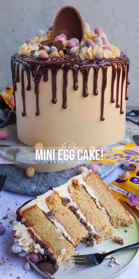 Mini Egg Cake! - Jane's Patisserie Mini Egg Cake, Easter Birthday Cake, Mini Eggs Cake, Easter Cake Decorating, Easter Egg Cake, Janes Patisserie, Spring Baking, Egg Cake, Mini Egg