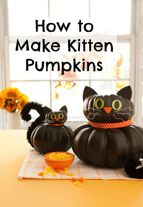 No-carve pumpkin ideas: How to make Kitten Pumpkins for Halloween. These would be fun sitting on your windowsill to "watch" over the house! Pumpkin Cats, Pumpkin Idea, Carve Pumpkins, Pumpkin Decorating Contest, No Carve Pumpkin Decorating, Pumpkin Contest, Pumpkin Carving Designs, Halloween Cats, Easy Halloween Crafts