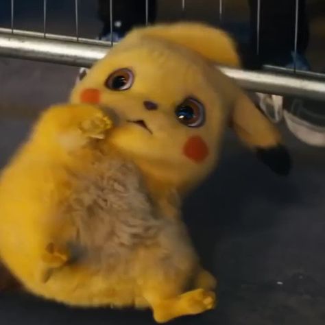 Pikachu Meme, Detective Pikachu, Popular Memes, Live Action, Detective, Pikachu, Memes