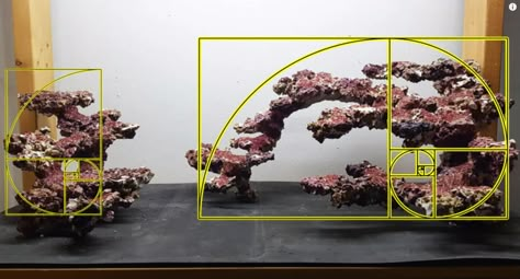 Reef Aquascape, Reef Scape, Saltwater Aquarium Aquascaping, Marine Aquarium Aquascaping, Reef Tank Ideas, Saltwater Tank Setup, Reef Tank Design, Reef Aquascaping, Cool Fish Tank Decorations