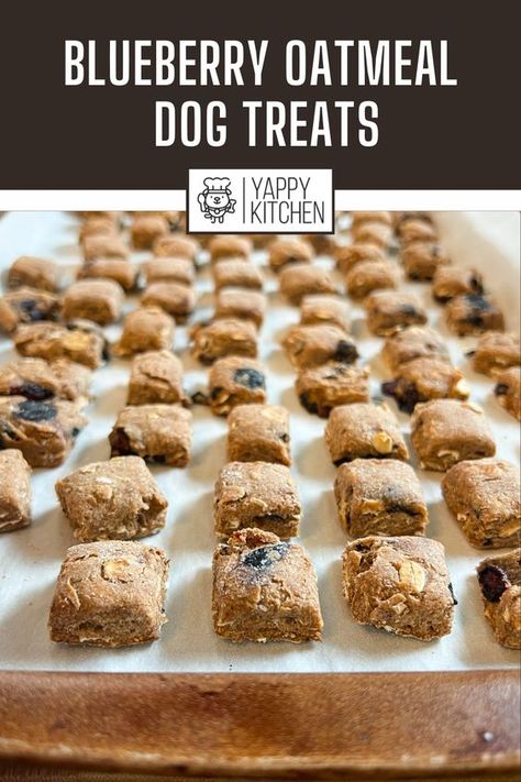 Rosemary Dog Treats, Blueberry Oatmeal Dog Treats, Non Perishable Dog Treats, Blueberry Dog Biscuits, Homemade Dog Treats With Blueberries, Blueberry Dog Treats Recipes, Soft Dog Treats For Older Dogs, Diy Dog Treat Recipes, Blueberry Dog Treats Homemade Easy