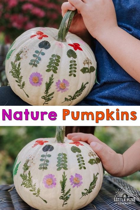 Have you ever decorated pumpkins with pieces of nature? It's so simple and looks beautiful when complete! You can use leaves, flowers, or other light pieces of nature. Kids will love pressing the pieces of nature and gluing them onto the pumpkin! Pumpkin With Flowers Fall Decorating, Leaf Pumpkin Craft, Flower Decorated Pumpkins, Autumn Kids Crafts, Nature Scavenger Hunt For Kids, Leaf Activities, Halloween Nature, Decorate Pumpkins, 2024 Classroom