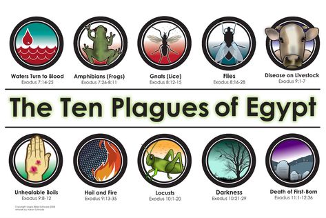 What were the 10 Plagues of Egypt? The 10 Plagues Of Egypt, Ten Plagues Of Egypt, 10 Plagues Of Egypt, Egypt Tattoo Design, Exodus 7, Egypt Activities, Egypt Girls, Egypt Crafts, Plagues Of Egypt