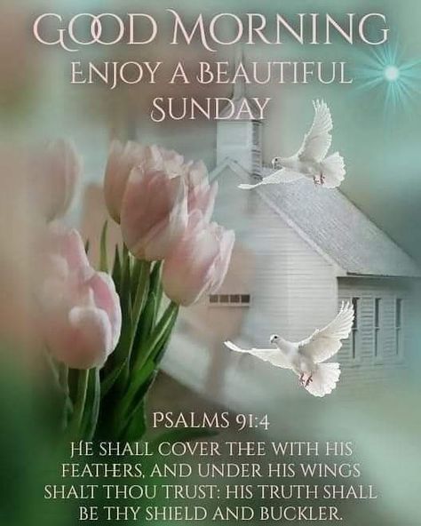 Morning Scripture, Sunday Morning Quotes, Sunday Greetings, Sunday Blessings, Bible Verses Kjv, Good Morning Happy Sunday, Blessed Sunday, Happy Sunday Quotes, Bible Quotes Images