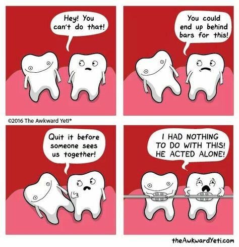 What's up, braces? Braces Humor, Teeth Humor, Awkward Yeti, The Awkward Yeti, Dental Jokes, Funny Comic Strips, Dental Humor, Memes Humor, Cute Comics